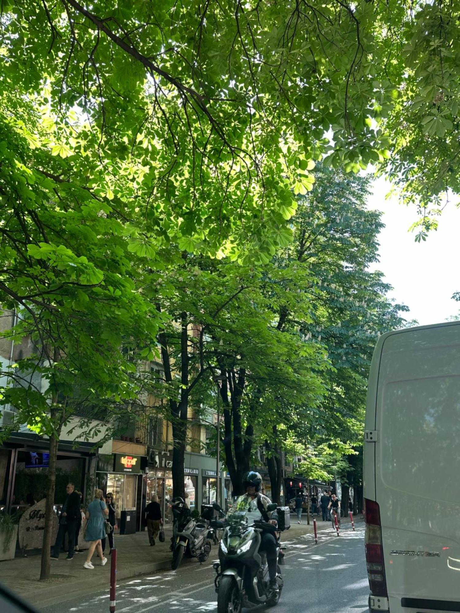 Kalpazo Blloku
