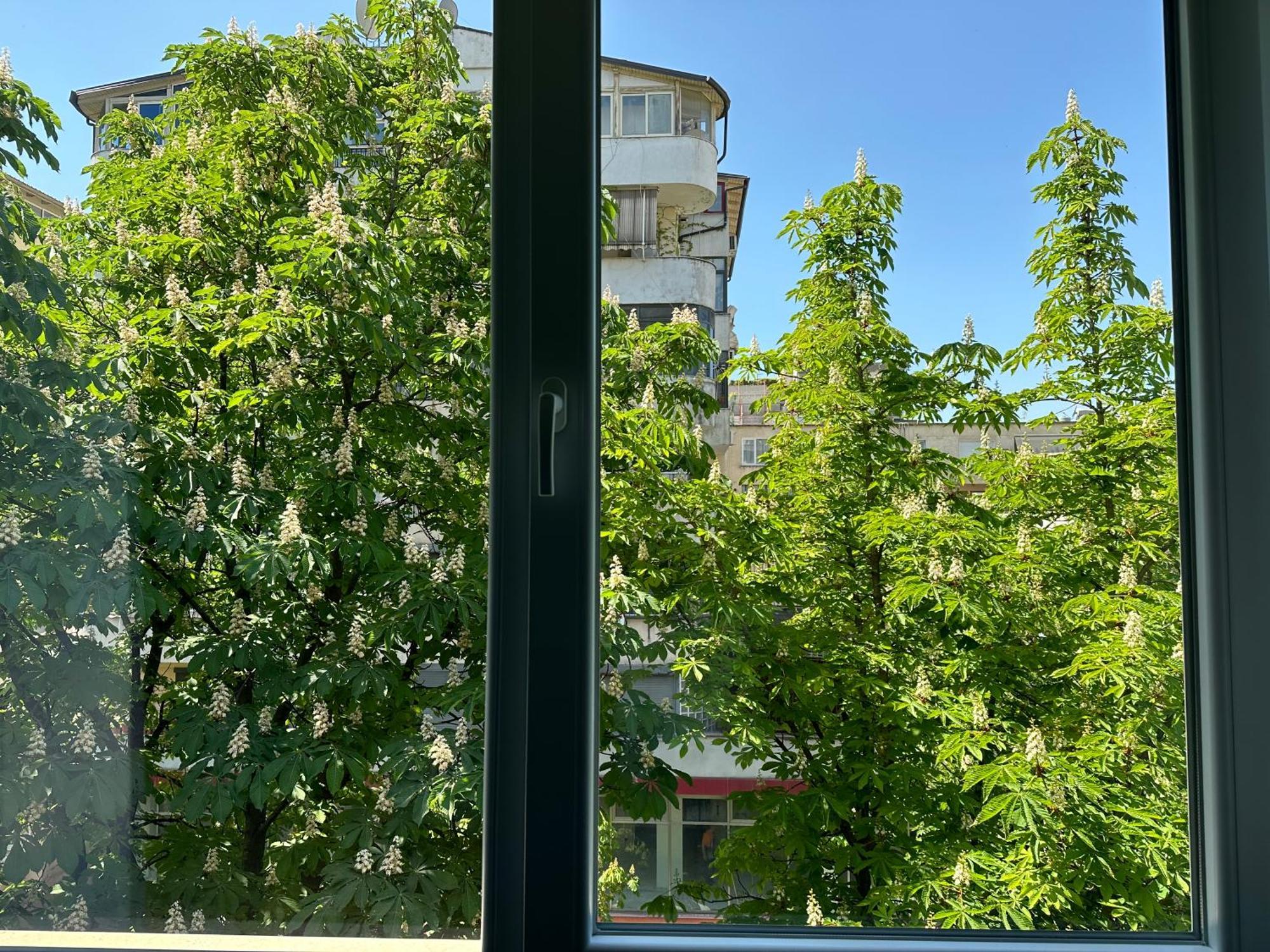 Pensjonat Kalpazo Blloku Tirana